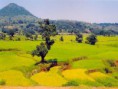 /album/photogallery/araku-valley-2486-m-jpg/